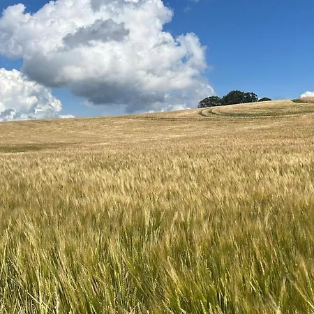 Koehn